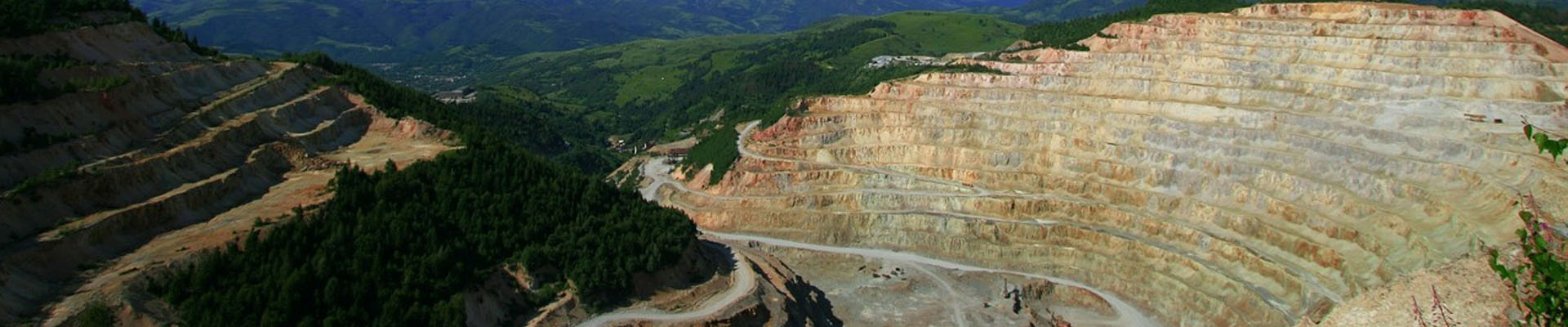 Mineral Dept